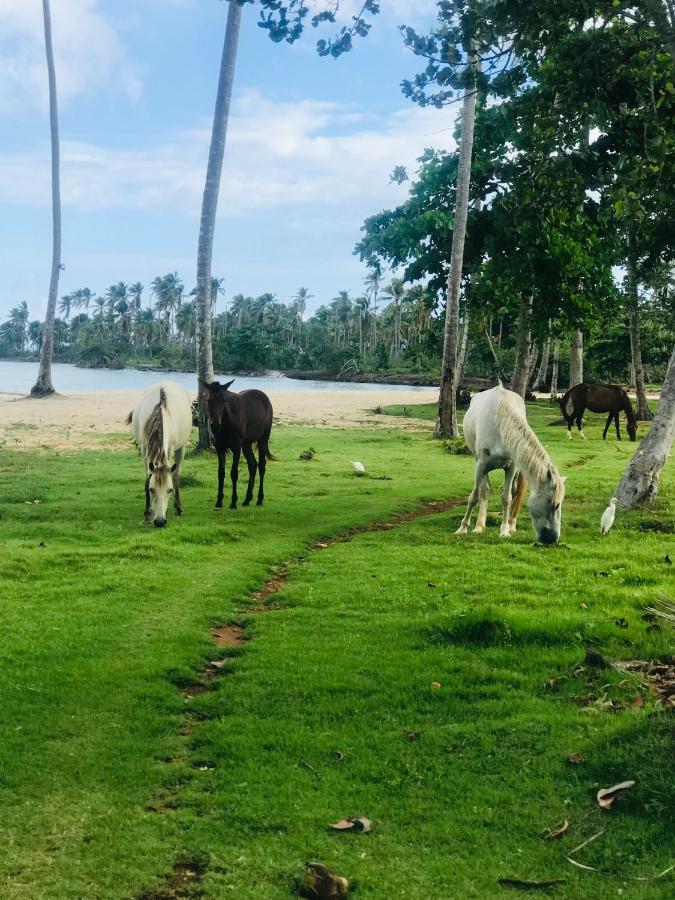 Oasis En La Naturaleza Rancho Alto Bonito Las Galeras Εξωτερικό φωτογραφία