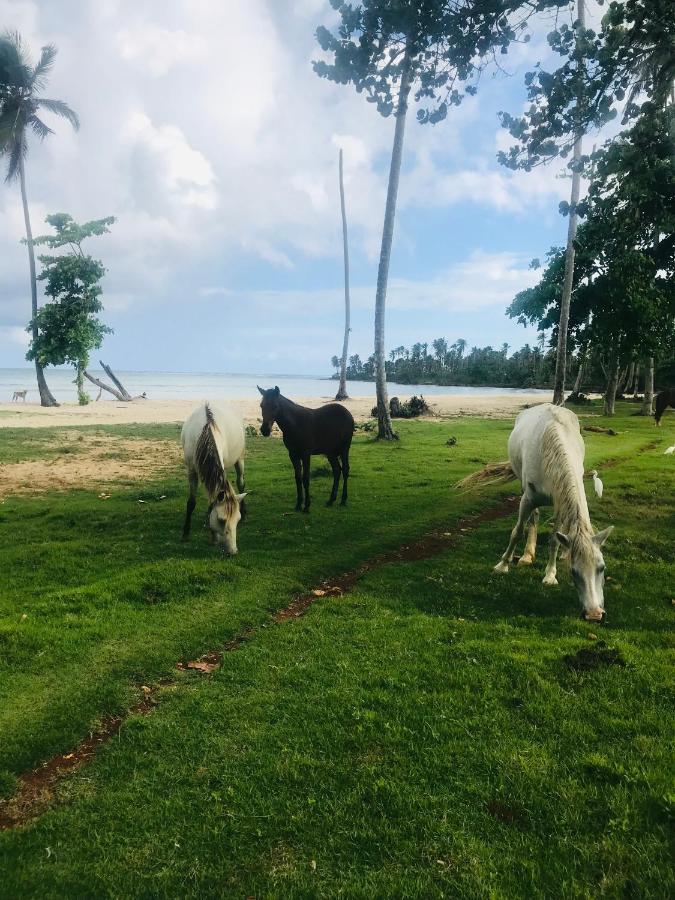 Oasis En La Naturaleza Rancho Alto Bonito Las Galeras Εξωτερικό φωτογραφία